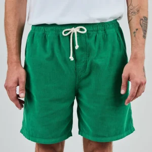 Baby Cord Shorts Grün